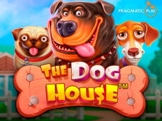 Red dog casino login. Son yaz dizi.70